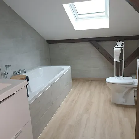 Superbe T4 Duplex Tres Bien Situe Au Calme Lejlighed